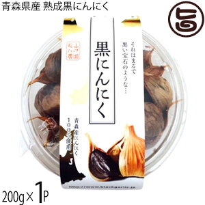 Rn[u_ XY nɂɂ 200g×1P ی^pbN