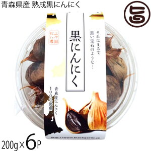 Rn[u_ XY nɂɂ 200g×6P ی^pbN