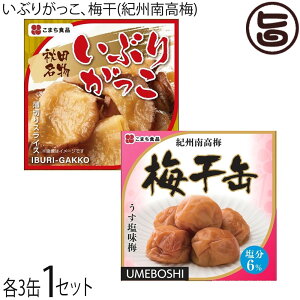 ܂Hi Ԃ肪ʁA~(IB썂~) 6ʃZbg(e3) Hc