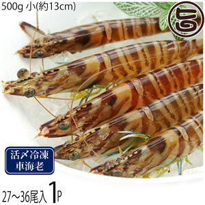 X{B }Ⓚ XY Ԃ  500g (13cm) 27`36×1P