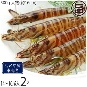 X{B }Ⓚ XY Ԃ  500g 啨(16cm) 14`16×2P