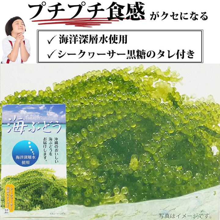 1310円 2022年最新海外 海洋深層水使用 沖縄県産 海ぶどう 60g×3箱 1310円 2022年最新海外 海洋深層水使用 沖縄県産 海ぶどう 60g×3箱