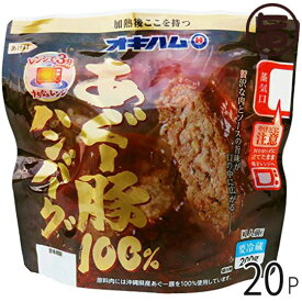 あぐー豚100% ハンバーグ 200g×20個 沖縄 土産 簡単調理 おかず レトルト