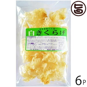 Ԗ 炰 50g×6P  yY lC LNQ LNQ ؎ R[Q h{Lx