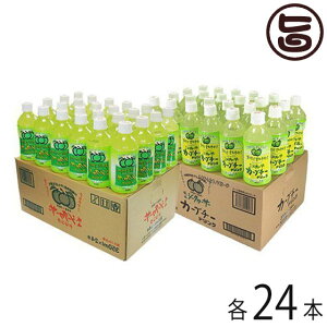 RV[N[T[ V[N[T[ & J[u`[ hNZbg 350ml×e24{  lC 썑t[c NǗ V[N[T[ mr`