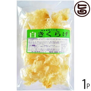 Ԗ 炰 50g×1P  yY lC LNQ LNQ ؎ R[Q h{Lx