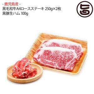 YјaA4[XXe[L 250g×2 Yؐn 100g Y a Y