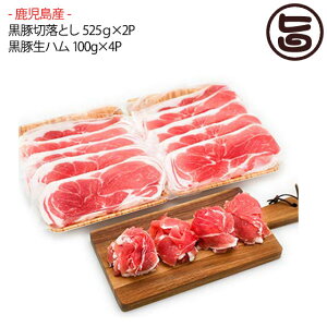 YؐؗƂ 525g×2P Yؐn 100g×4P Y Y