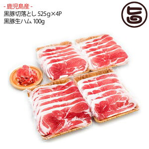 YؐؗƂ 525g×4P Yؐn 100g Y Y