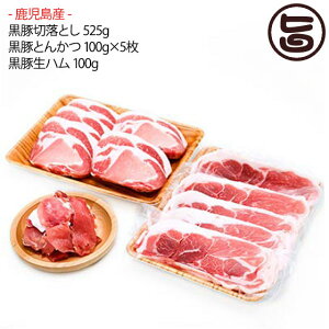 ؐؗƂ 525g ؂Ƃ񂩂 100g×5 Yؐn 100g   i l