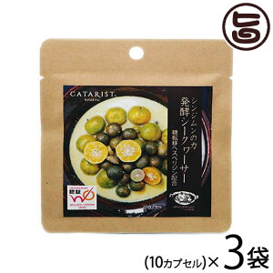 VW̗ yV[N[T[ 10JvZ×3P N Tv   ۂۂ wXyW EGlXILiWpF؏i V[N[T[ Tv mr`