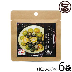 VW̗ yV[N[T[ 10JvZ×6P N Tv   ۂۂ wXyW EGlXILiWpF؏i V[N[T[ Tv mr`