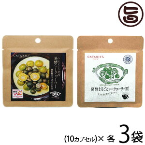 シンジムンの力 発酵シークヮーサー 発酵まるごとシークヮーサー茶 10カプセル入り ×各3P カプセルティータイプ 健康 サプリ 温感 温活 ぽかぽか 沖縄スーパーフード推奨商品 ノビレチン