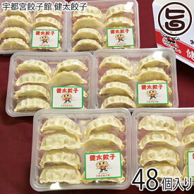 ギフト 健太餃子 8個入り×6パック （48個入り） 栃木 土産 冷凍 宇都宮餃子館 お店の味をご家庭で