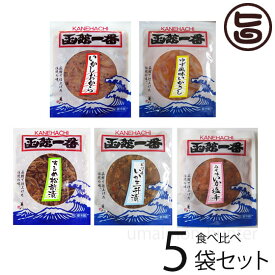 はるか 味くらべ お試しセット 本場造り塩辛 みそ味塩辛 するめ松前漬 ピリ辛いか三升漬 ゆず風味いかさし 5点セット