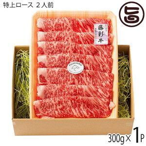 BYјa ʋ A4`A5 ネ[X Ă Ԃԗp 300g×1P 2lO tW`N