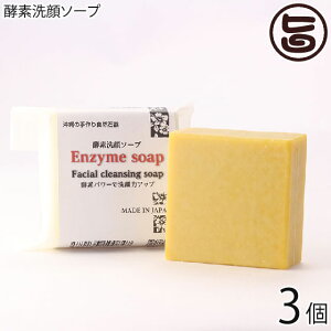 �X�N�������{�� �y�f���\�[�v 100g×3�� ��ؔ��y�G�L�X�g�p �V�R�����g�p �y�f�p���[ ���� �Ό� ���e ��� �S�g��