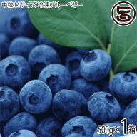 「森のサファイア」中粒 Mサイズ 冷凍 ブルーベリー 500g×1P 大粒 完熟ジューシー -25℃で瞬間冷凍