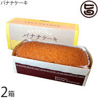 モンテドール バナナケーキ×2箱 沖縄 宮古島