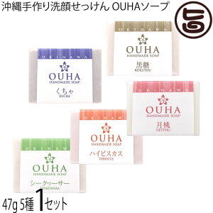 ݂Ȃ傤 ꐶ܂̖Y肹 5 e47g×1Zbg  nCrXJX  V[N[T[ 