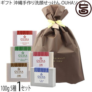 Mtg ݂Ȃ傤 ꐶ܂̖Y肹 5 e100g×1Zbg  nCrXJX  V[N[T[ 