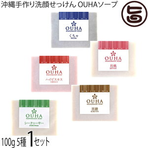 ݂Ȃ傤 ꐶ܂̖Y肹 5 e100g×1Zbg  nCrXJX  V[N[T[ 