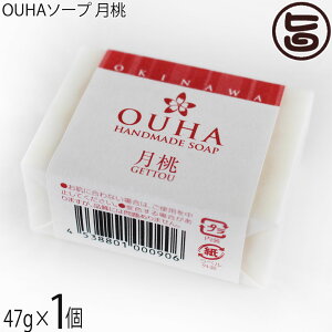 ER̔ 点 OUHA\[v  47g×1  痿 Y