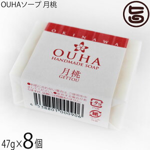 ER̔ 点 OUHA\[v  47g×8  痿 Y
