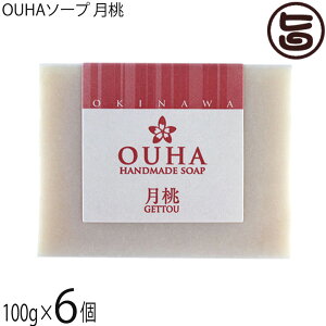 ER̔ 点 OUHA\[v  100g×6  痿 Y