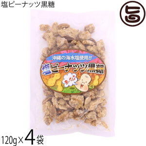 s[ibc 120g×4P