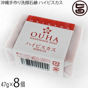 ݂Ȃ傤 点 OUHA\[v nCrXJX 47g×8 ێ