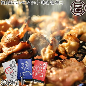 亀山精肉店 気仙沼ホルモンセット（味噌・塩・辛口）350g×各1P 岩手県