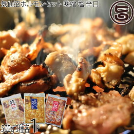 亀山精肉店 気仙沼ホルモンセット（味噌・塩・辛口）500g×各1P 岩手県