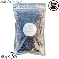 堀うち農園 冷凍ブルーベリー500g×3袋 減農薬栽培 有機肥料使用