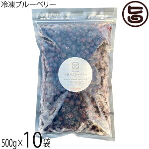 x_ Ⓚu[x[500g×10 _͔|