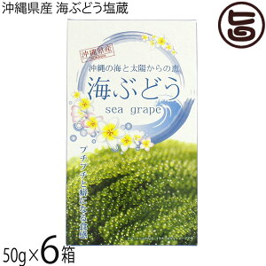 O[AbvR[|[V CԂǂ 50g×6 ϔ