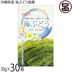 O[AbvR[|[V CԂǂ 50g×30 ϔ