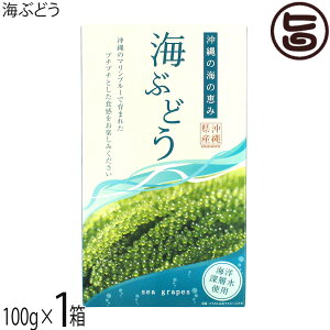 O[AbvR[|[V CԂǂ 100g×1 Cm[wgp