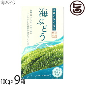 O[AbvR[|[V CԂǂ 100g×9 Cm[wgp