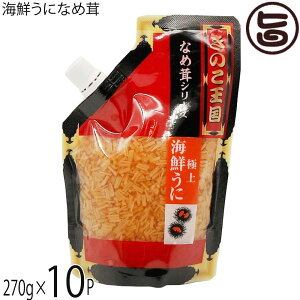 kC CNɂȂߑ X^hpbN 270g×10P kĈ