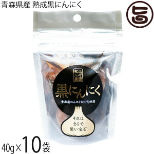 Rn[u_ XY nɂɂ 40g×10 X^hpbN