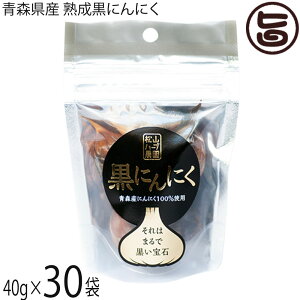 Rn[u_ XY nɂɂ 40g×30 X^hpbN