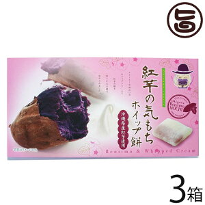 앗 g̋C zCbv 10×3 ꌧYgA(߂ނ炳)  yY