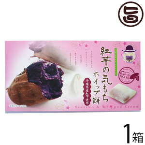 앗 g̋C zCbv 10×1 ꌧYgA(߂ނ炳)  yY