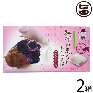 앗 g̋C zCbv 10×2 ꌧYgA(߂ނ炳)  yY