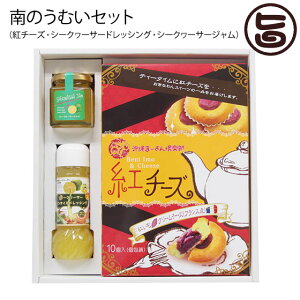 Mtg _ ̓ ނZbg g`[Y10 V[N[T[hbVO 200ml V[N[T[W140g i