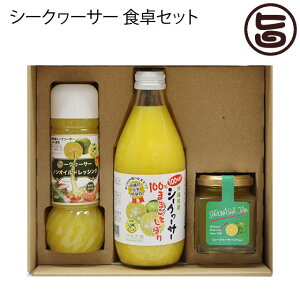 Mtg _ V[N[T[ HZbg V[N[T[ 100܂邲Ƃڂ hbVO W }S i