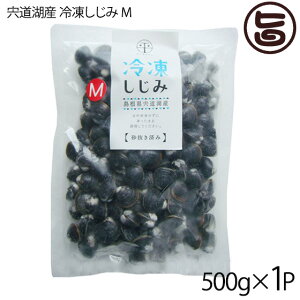 ʋl ΎY ⓀaM k12`14mm(͂) 500g×1P  n VN VW~  X Ij`