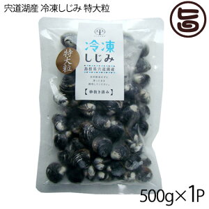 ʋl ΎY Ⓚaݓ嗱 k16mmȏ(͂) 500g×1P  n VN VW~  X Ij`