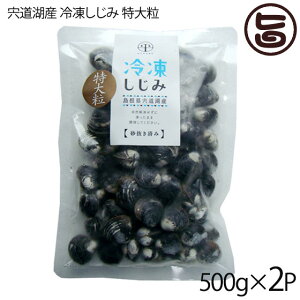 ʋl ΎY Ⓚaݓ嗱 k16mmȏ(͂) 500g×2P  n VN VW~  X Ij`
